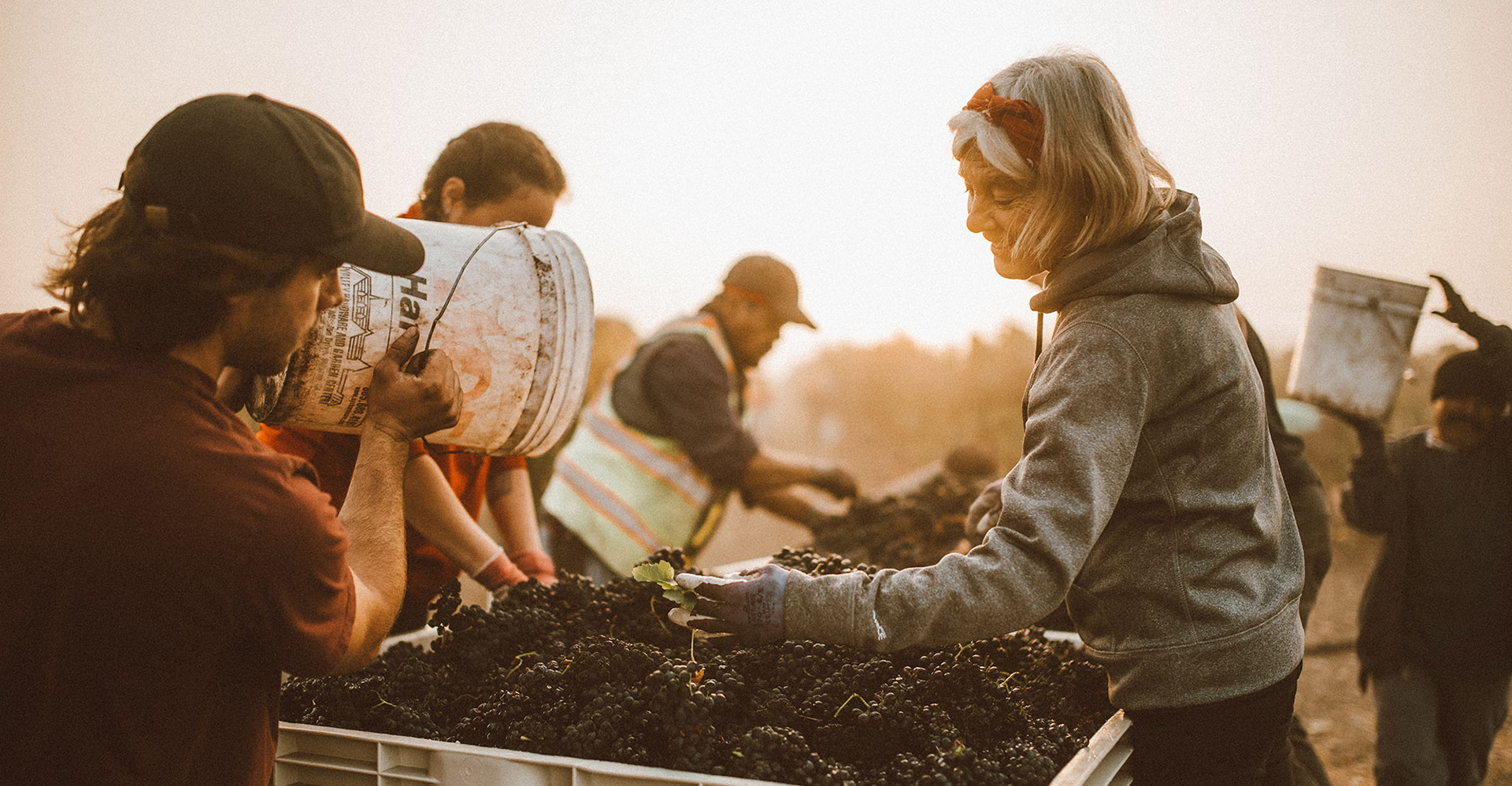 Carhartt Harvest