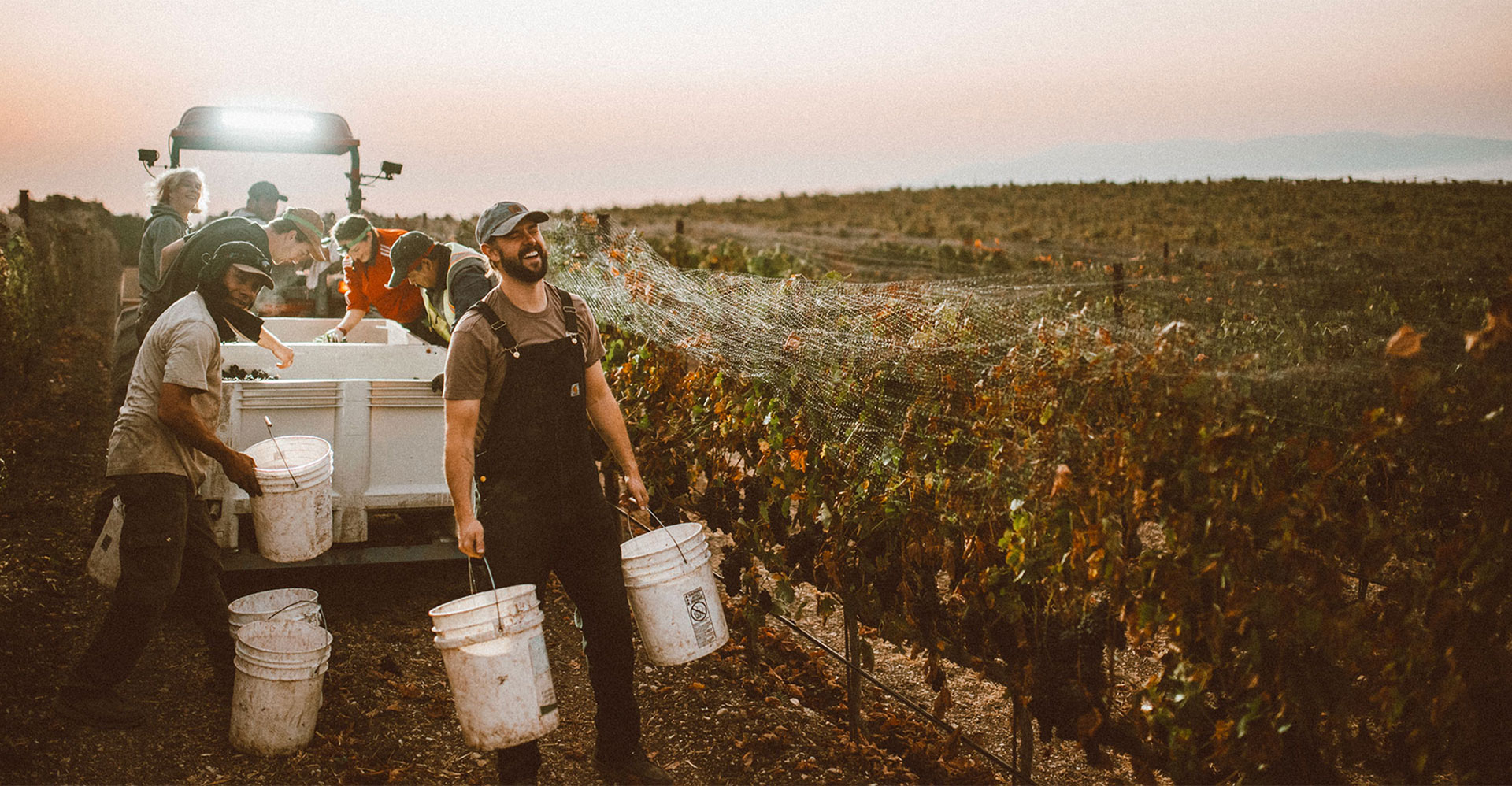 Carhartt Harvest