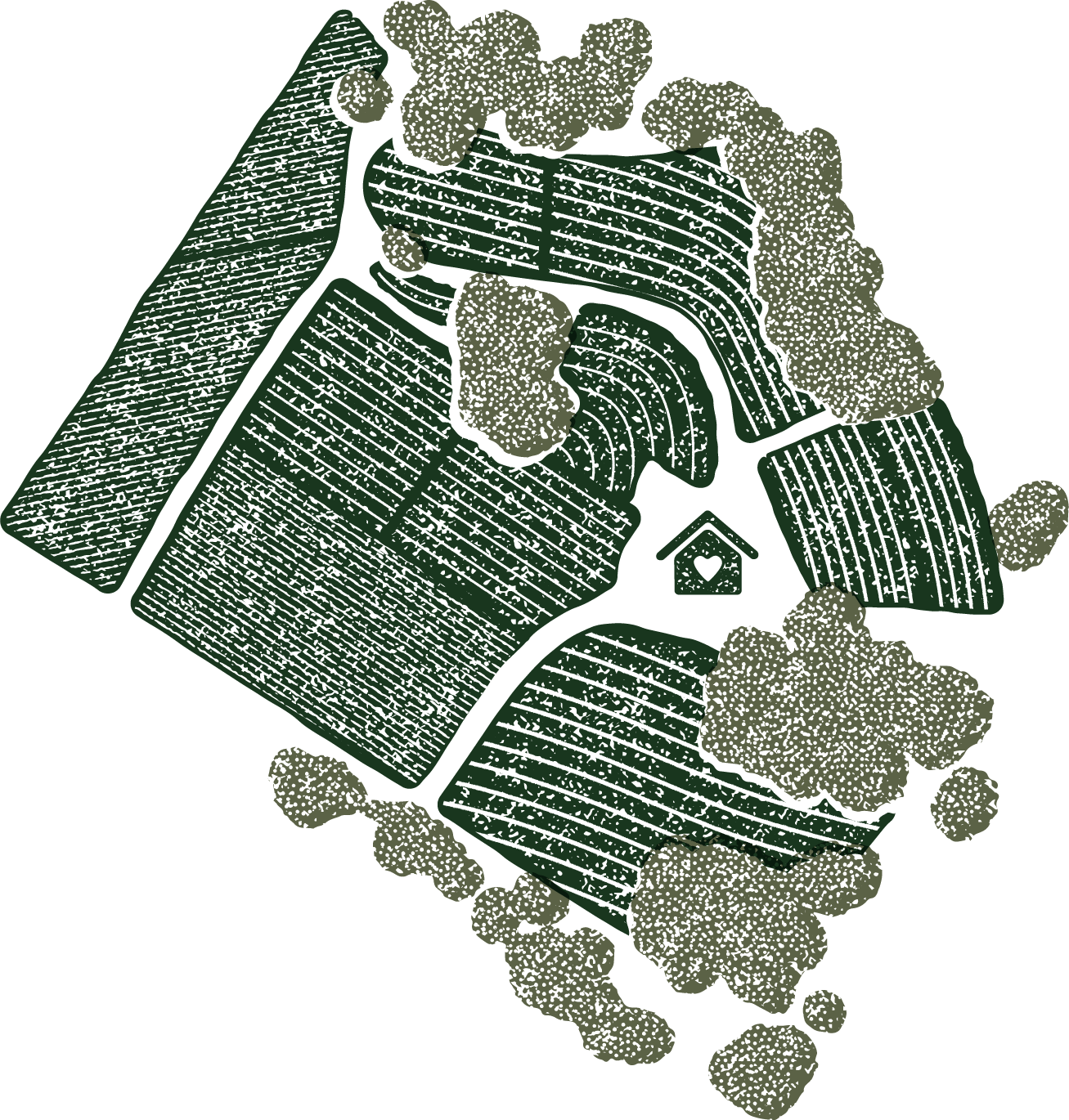 Carhartt Family Vineyard Map