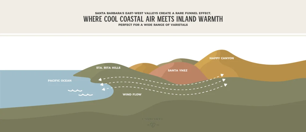 Best Time to Visit Santa Barbara Wine Country