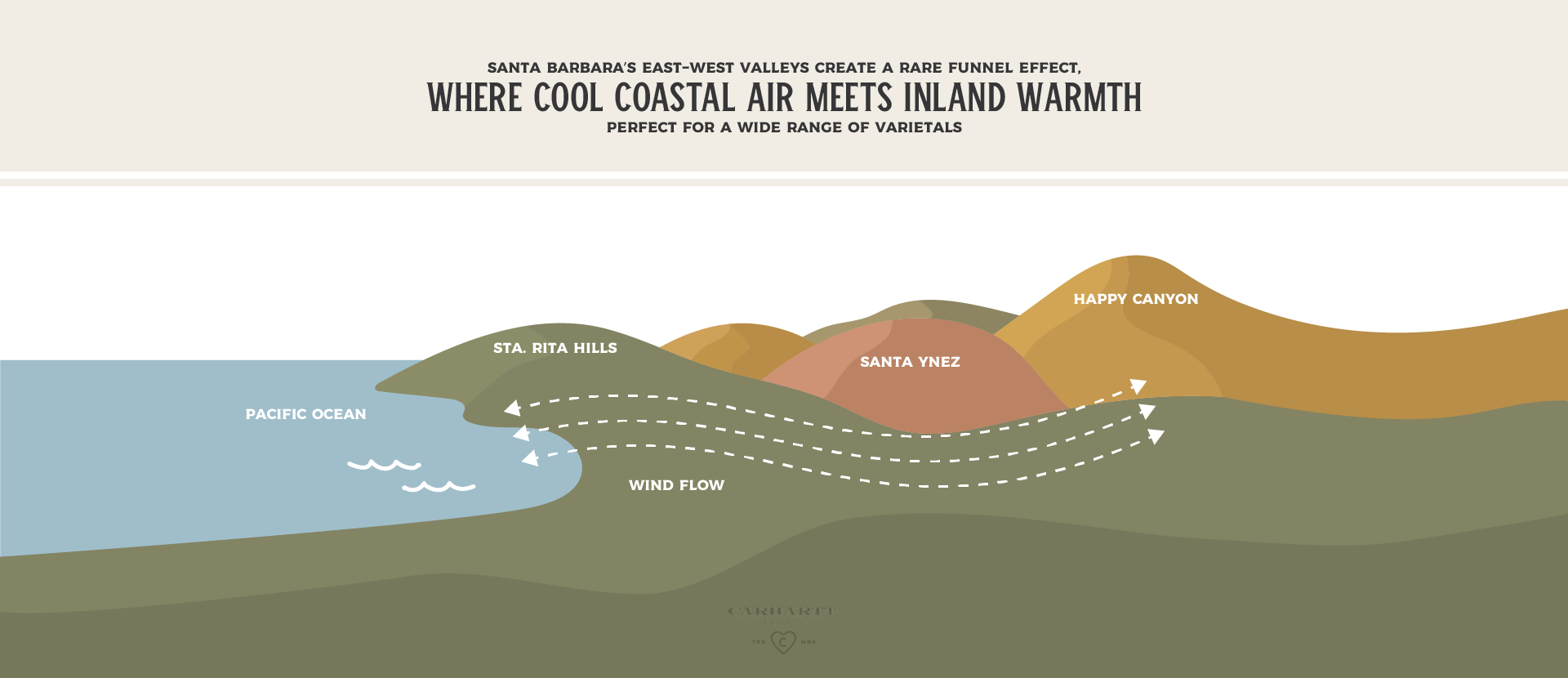 Best Time to Visit Santa Barbara Wine Country