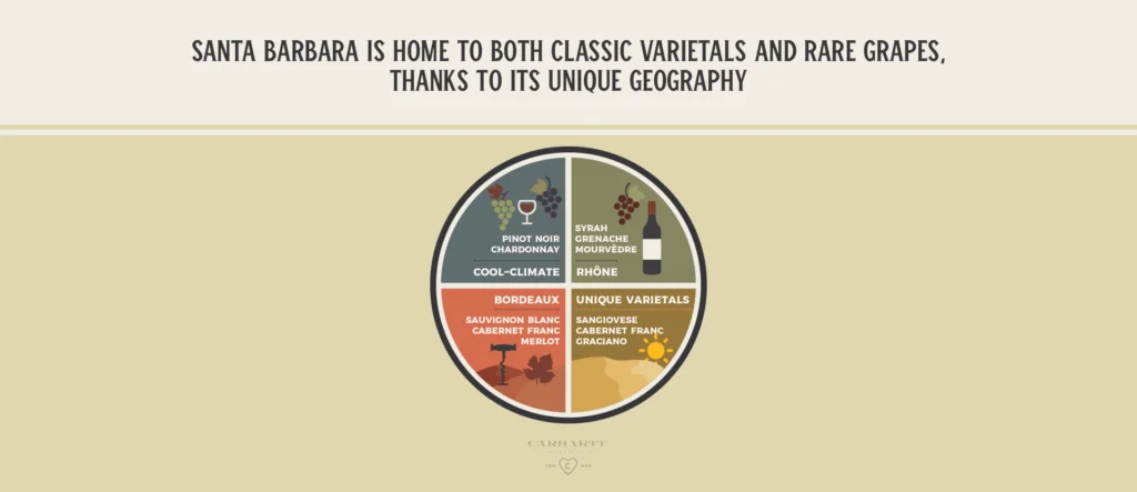 Top Grape Varieties in Santa Barbara Wine Country