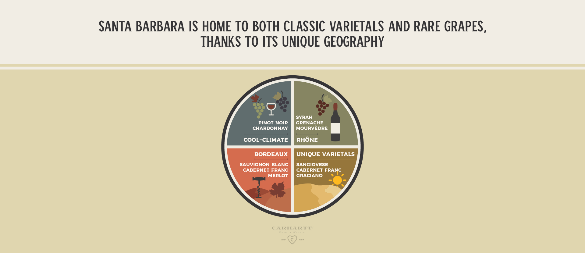 Top Grape Varieties in Santa Barbara Wine Country