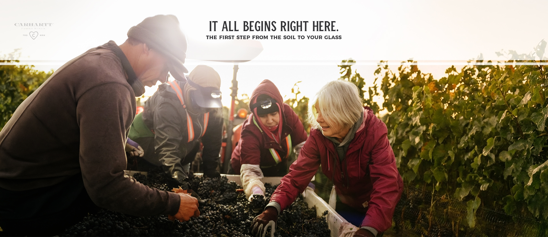 Santa-Barbara-wine-country-things-to-do