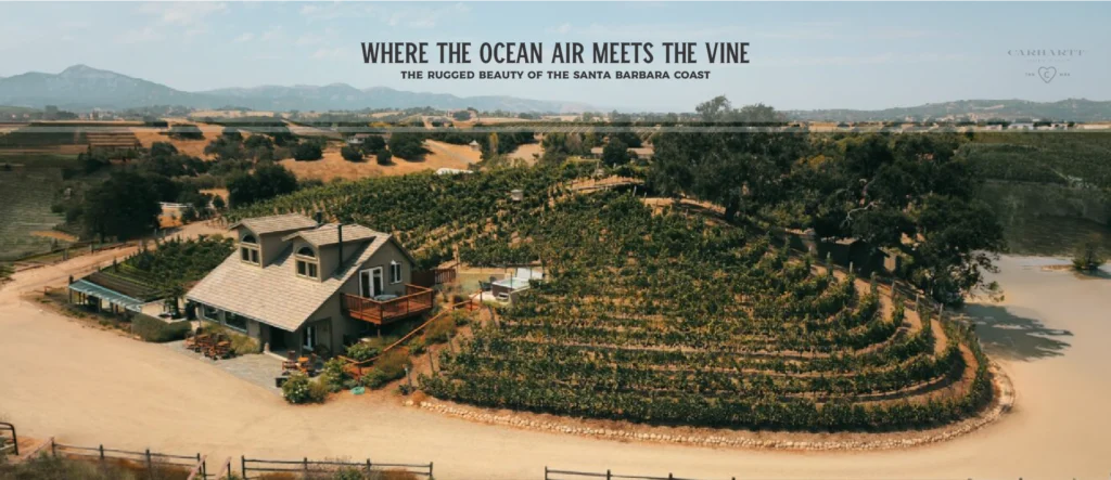 Tips for Planning Your Wine Country Route