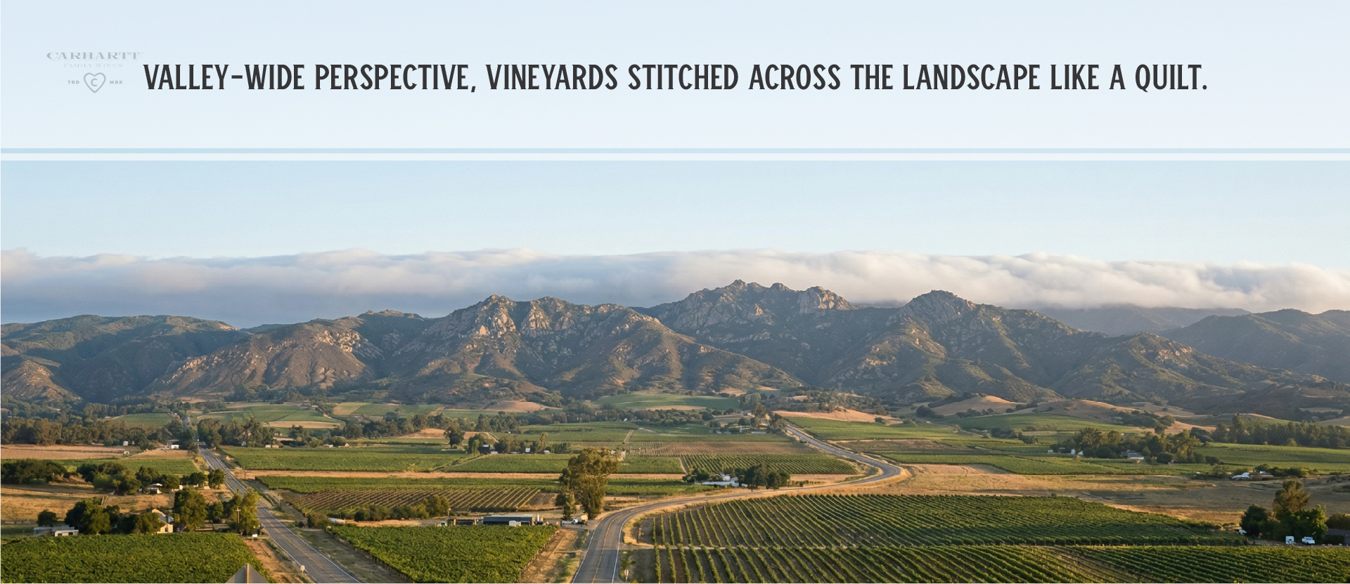 Ballard Canyon Syrah