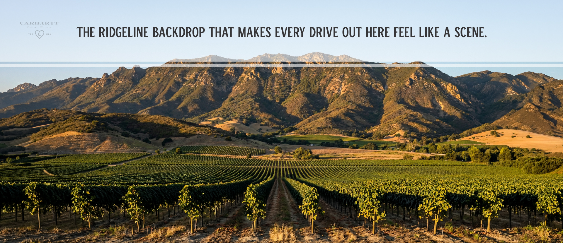 Los Alamos Wine Tasting