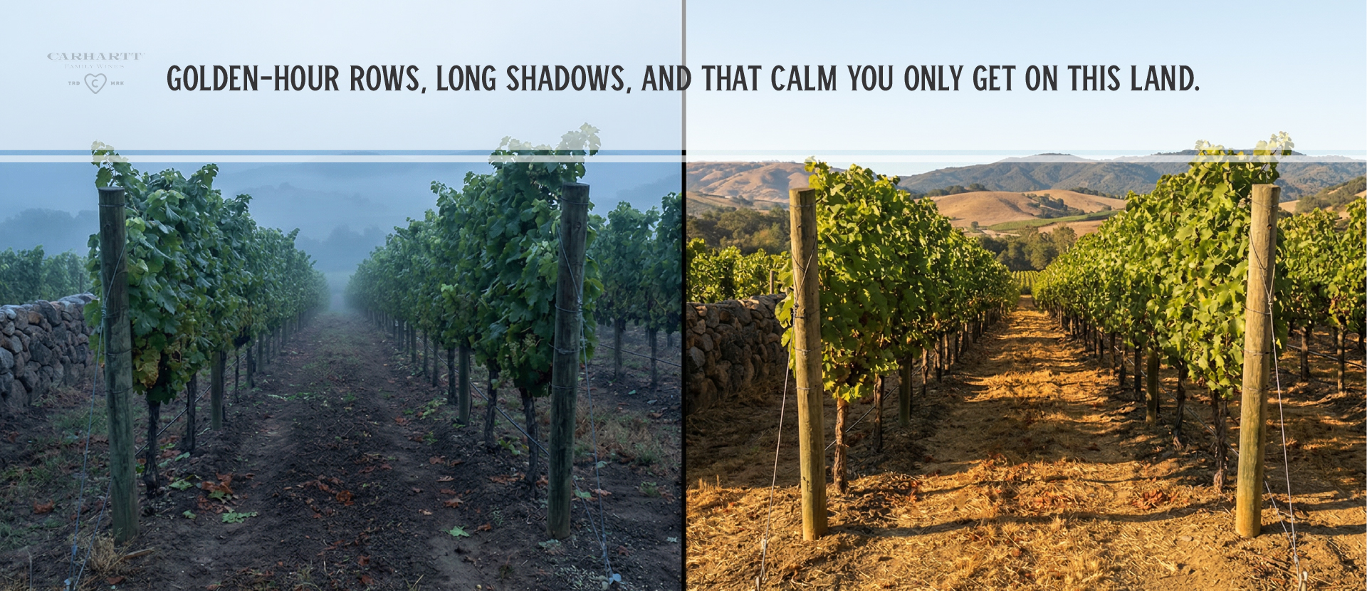 Los Alamos Wine Tour