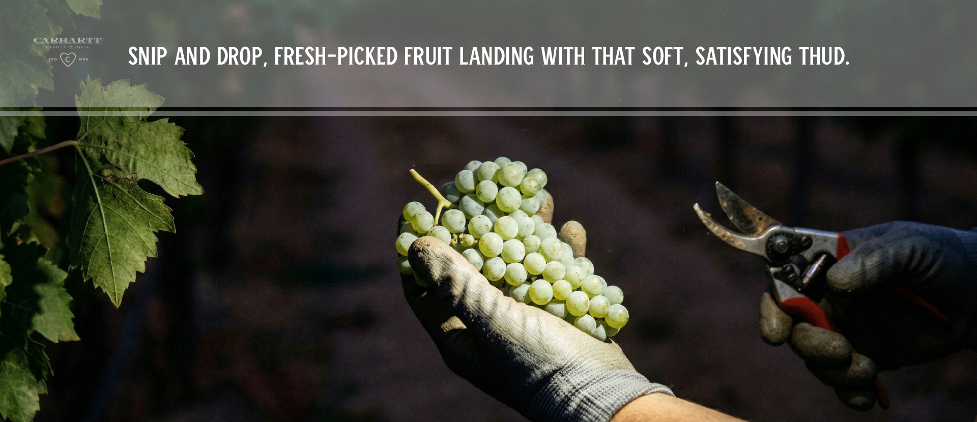 Los Olivos Wine Tasting