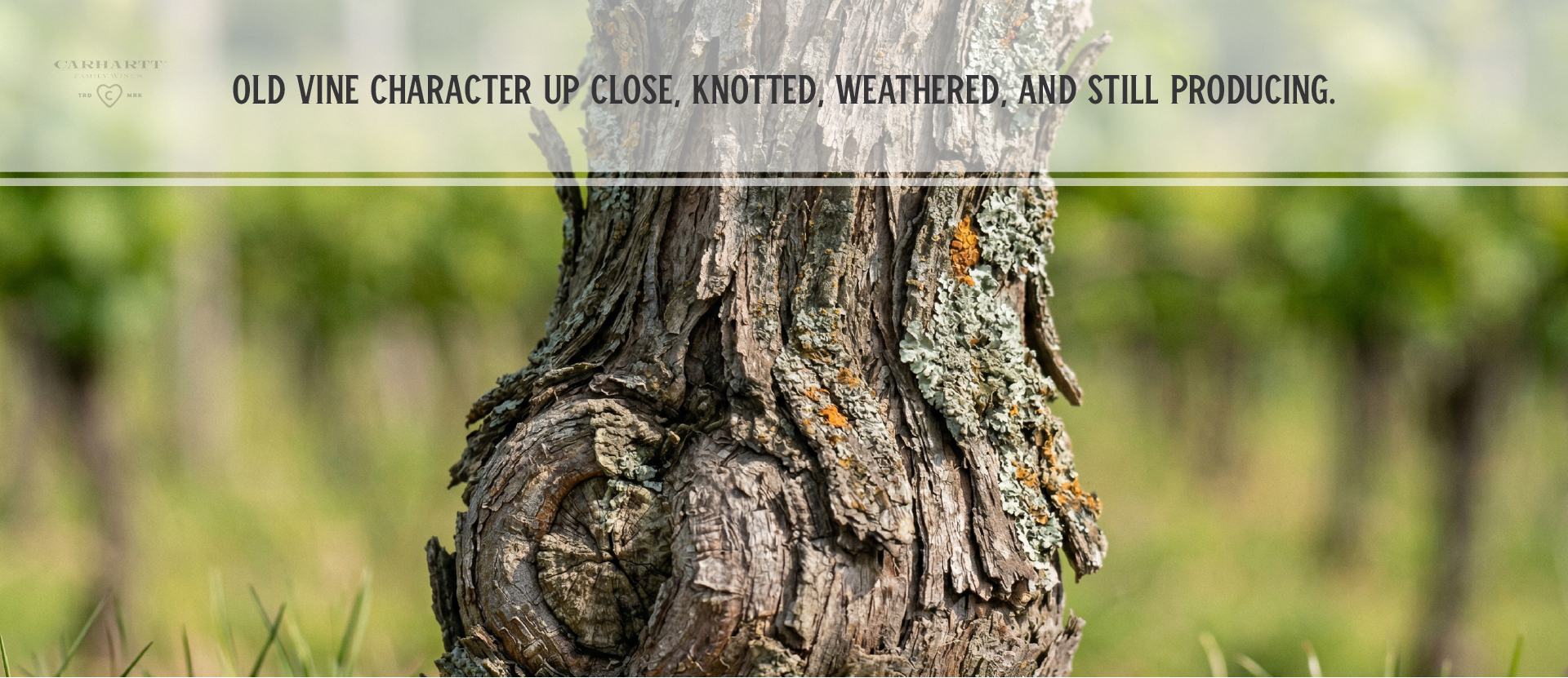 Santa Maria Valley AVA