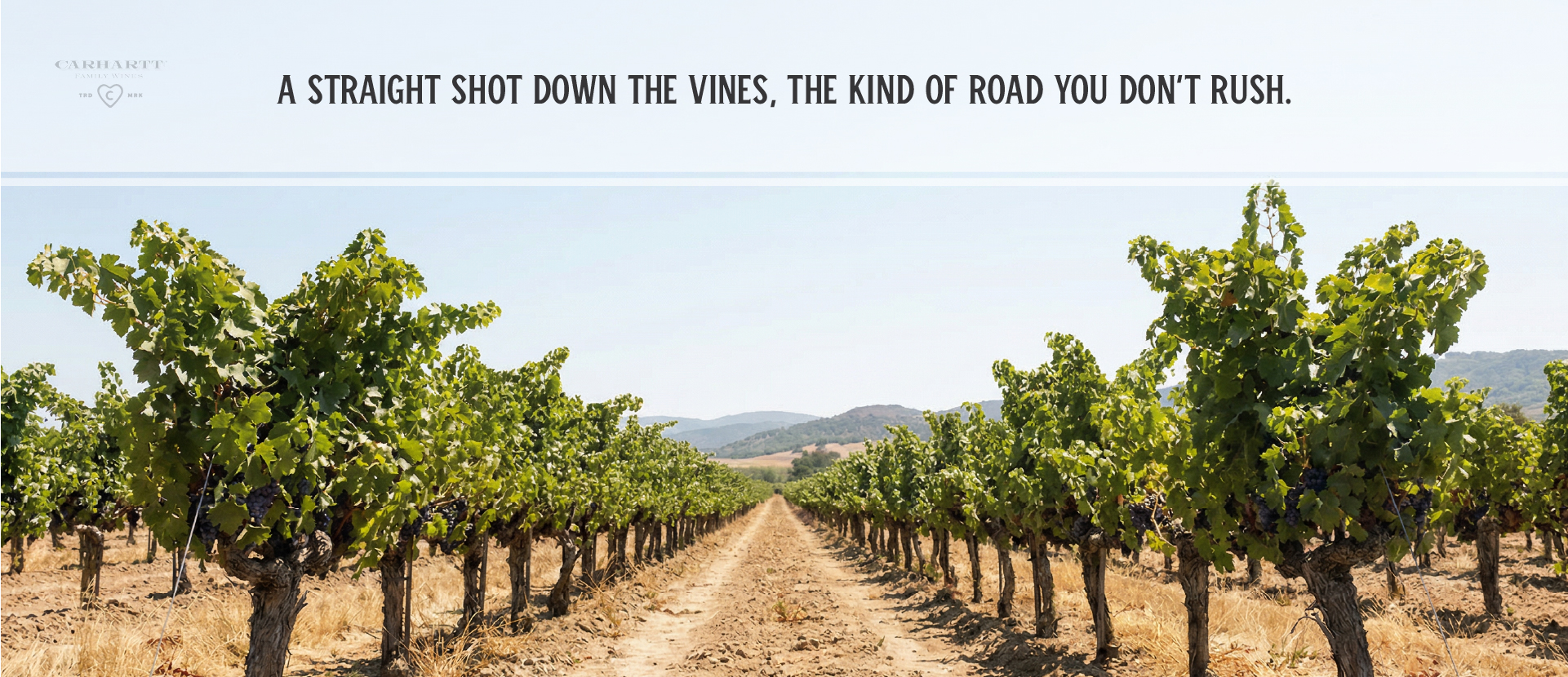 Santa Maria Valley Chardonnay