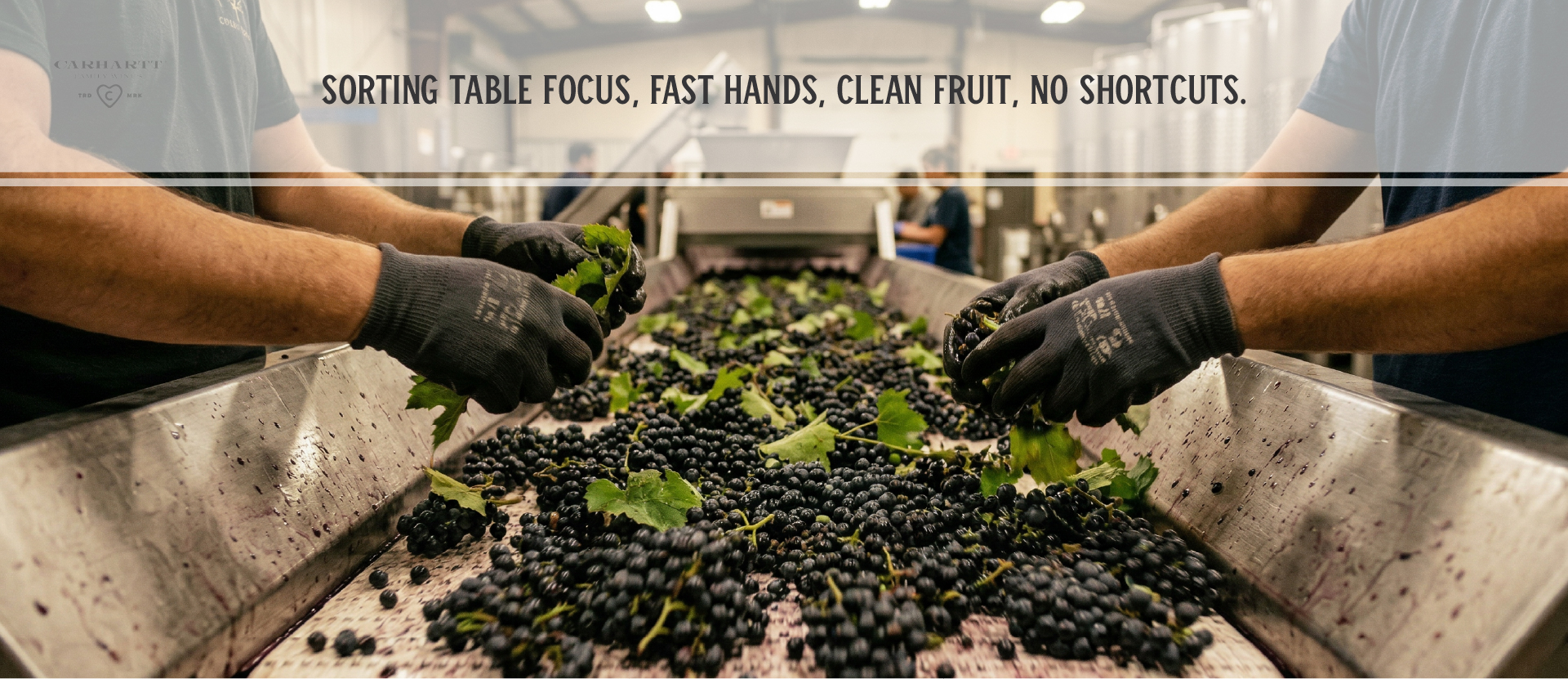 Santa Rita Hills AVA