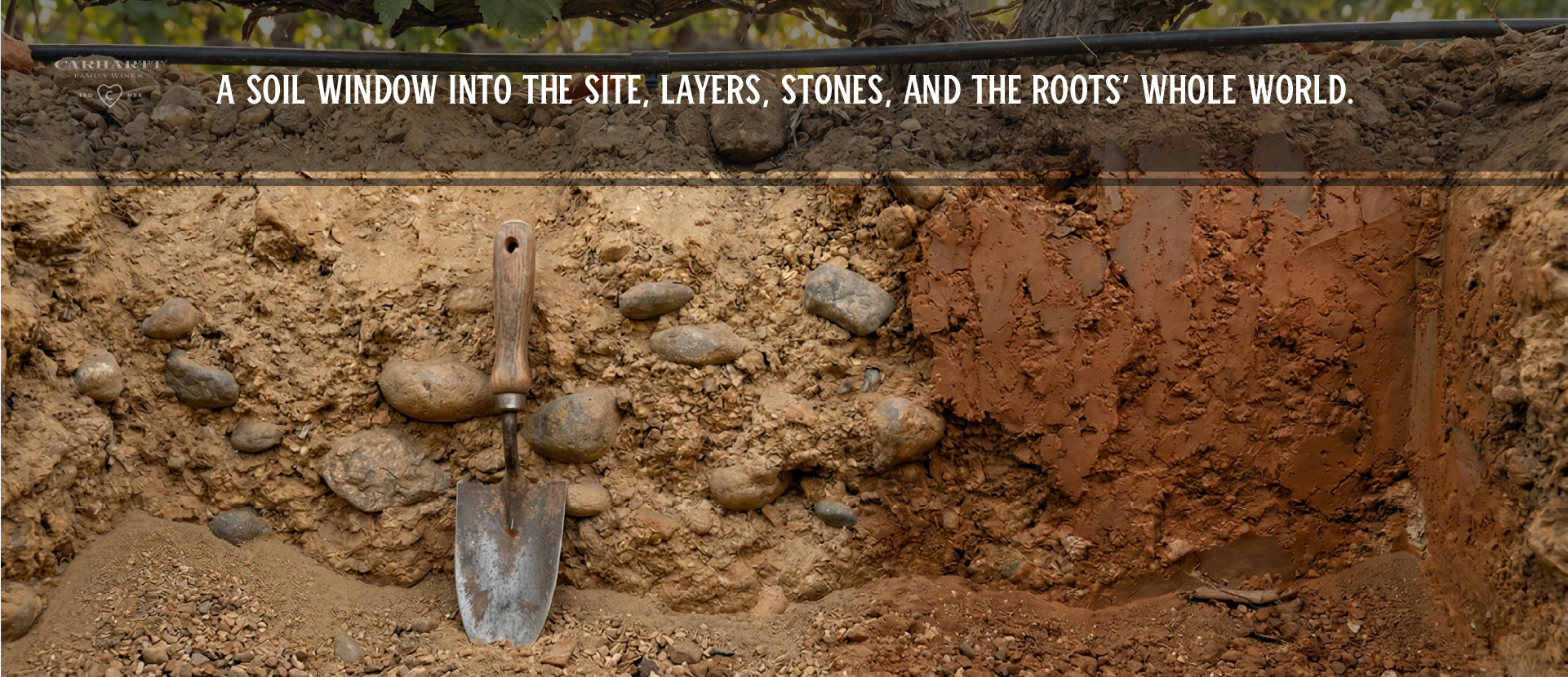 Santa Ynez Pinot Noir