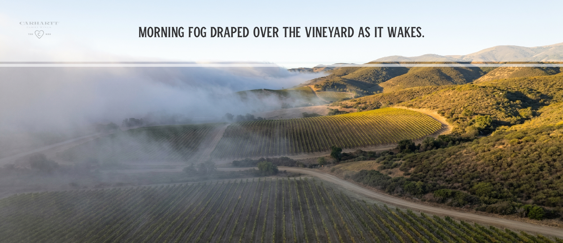 Santa Ynez Valley AVA