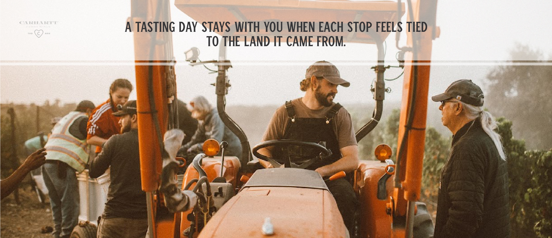 Pinot Noir Santa Barbara