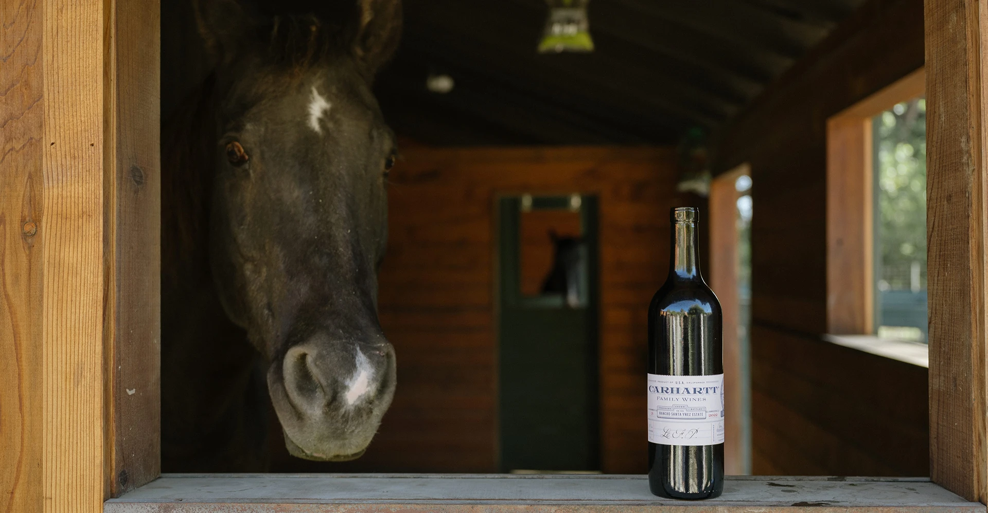 Dozer the horse eyeing up a bottle of Carhartt red wine